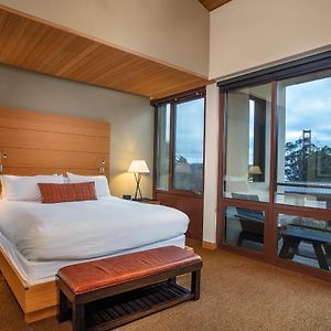 Contemporary Suite
